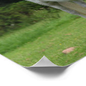 Bob Langrish | Welsh Pony Mare and Foal Poster (Ecke)