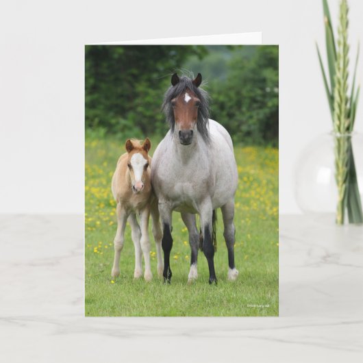 Bob Langrish | Welsh Pony Mare and Foal Stehend Karte (Vorderseite)