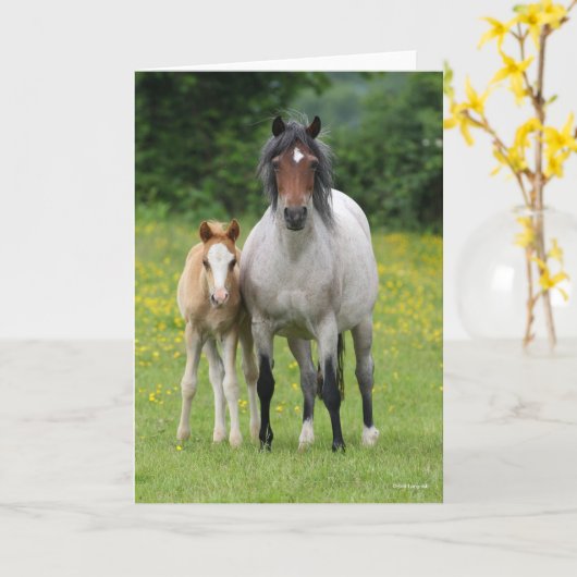 Bob Langrish | Welsh Pony Mare and Foal Stehend Karte (Gelbe Blume)