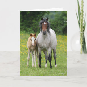 Bob Langrish   Welsh Pony Mare and Foal Stehend Karte