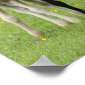 Bob Langrish | Welsh Pony Mare and Foal Stehend Poster (Ecke)