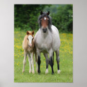 Bob Langrish | Welsh Pony Mare and Foal Stehend Poster (Vorne)