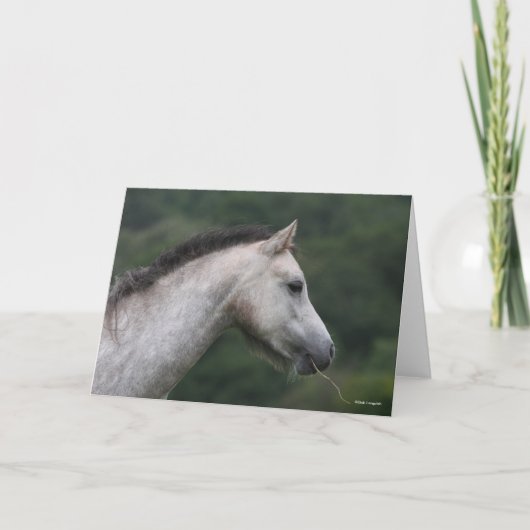 Bob Langrish | Welsh Section A Pony Headshot Karte (Vorderseite)