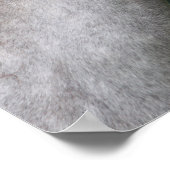 Bob Langrish | Welsh Section A Pony Headshot Poster (Ecke)