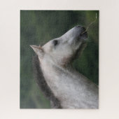 Bob Langrish | Welsh Section A Pony Headshot Puzzle (Vertikal)