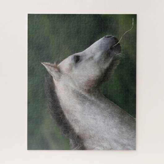 Bob Langrish | Welsh Section A Pony Headshot Puzzle (Vertikal)