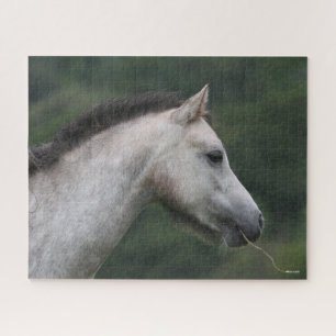 Bob Langrish   Welsh Section A Pony Headshot Puzzle