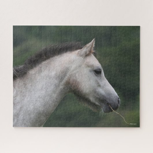 Bob Langrish | Welsh Section A Pony Headshot Puzzle (Horizontal)
