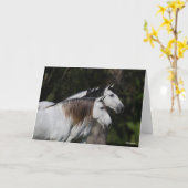 Bob Langrish | Zwei Andalusier Stehend Karte (Gelbe Blume)