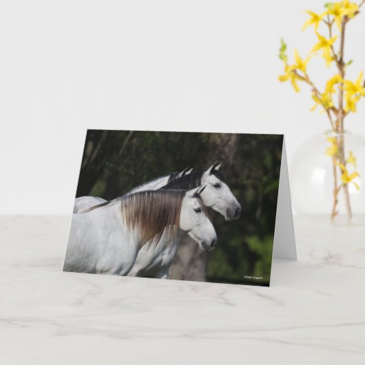 Bob Langrish | Zwei Andalusier Stehend Karte (Gelbe Blume)