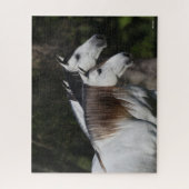 Bob Langrish | Zwei Andalusier Stehend Puzzle (Vertikal)