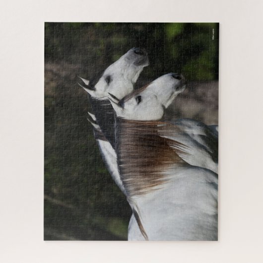 Bob Langrish | Zwei Andalusier Stehend Puzzle (Vertikal)