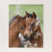Bob Langrish | Zwei Appaloosa Foals Meeting Puzzle (Vertikal)