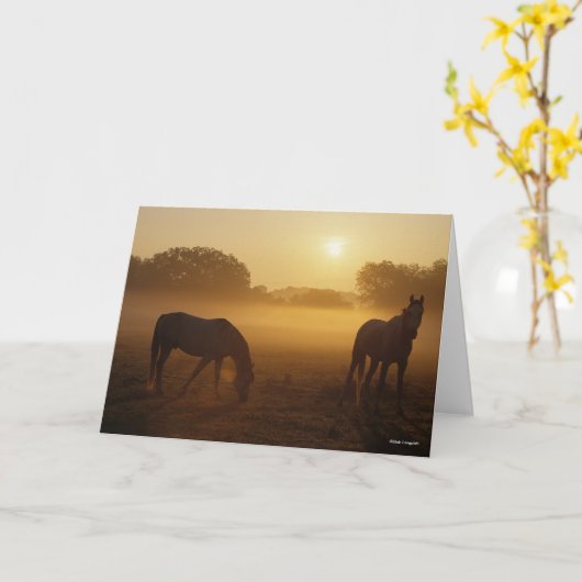 Bob Langrish zwei Araber Stehend in Nebel bei Sonn Karte (Gelbe Blume)