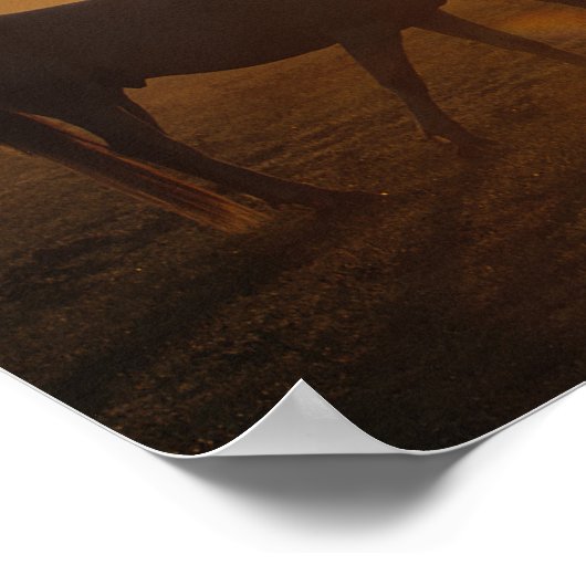 Bob Langrish zwei Araber Stehend in Nebel bei Sonn Poster (Ecke)