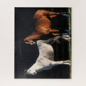 Bob Langrish | Zwei arabische Maden, die im Sonnen Puzzle (Vertikal)