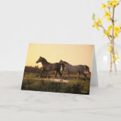 Bob Langrish | Zwei arabische Pferde bei Sonnenunt Karte (Gelbe Blume)