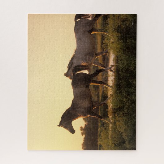 Bob Langrish | Zwei arabische Pferde bei Sonnenunt Puzzle (Vertikal)