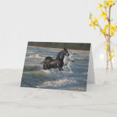 Bob Langrish | Zwei arabische Pferde, die im Meer Karte (Gelbe Blume)