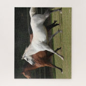 Bob Langrish | Zwei Arabische Pferde, die zusammen Puzzle (Vertikal)