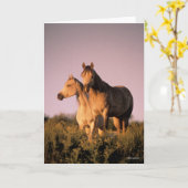 Bob Langrish | Zwei arabische Pferde Stehend bei S Karte (Gelbe Blume)