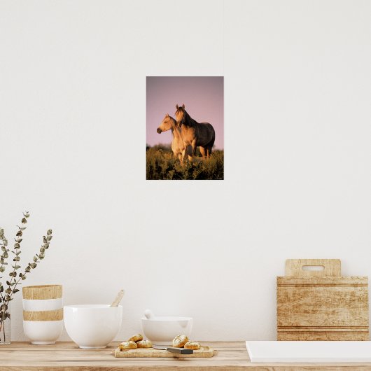 Bob Langrish | Zwei arabische Pferde Stehend bei S Poster (Küche)