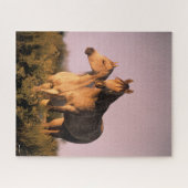 Bob Langrish | Zwei arabische Pferde Stehend bei S Puzzle (Horizontal)