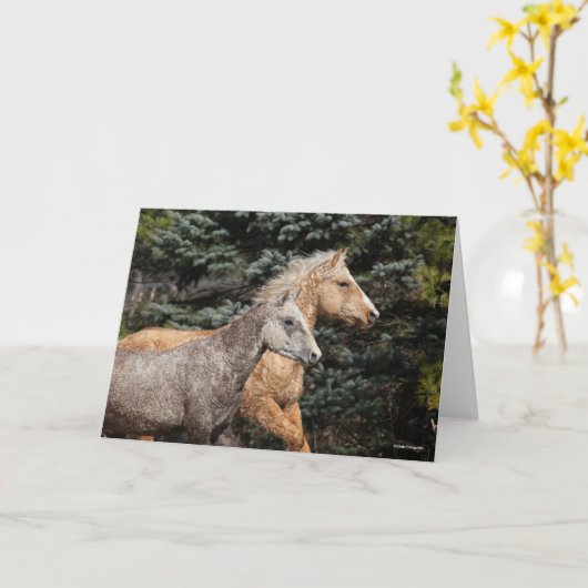 Bob Langrish | Zwei Bashkir Curses Headshot Karte (Gelbe Blume)