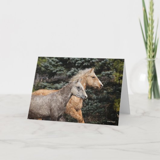 Bob Langrish | Zwei Bashkir Curses Headshot Karte (Vorderseite)