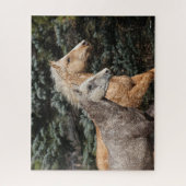 Bob Langrish | Zwei Bashkir Curses Headshot Puzzle (Vertikal)