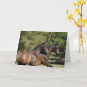 Bob Langrish | Zwei braune andalusische Pferde lau Karte (Gelbe Blume)