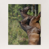 Bob Langrish | Zwei braune andalusische Pferde lau Puzzle (Vertikal)