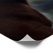 Bob Langrish | Zwei Clydesdale Pferde Headshot Poster (Ecke)