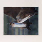 Bob Langrish | Zwei Clydesdale Pferde Headshot Puzzle (Horizontal)