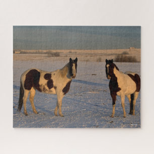 Bob Langrish   Zwei farbige Pferde im Schnee Puzzle