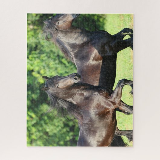 Bob Langrish | Zwei Friesianer laufen zusammen Puzzle (Vertikal)