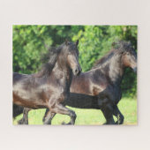 Bob Langrish | Zwei Friesianer laufen zusammen Puzzle (Horizontal)