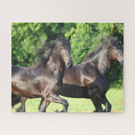 Bob Langrish | Zwei Friesianer laufen zusammen Puzzle (Horizontal)