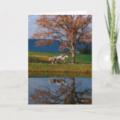 Bob Langrish | Zwei Gemeine Warmblüten am See Karte (Vorderseite)