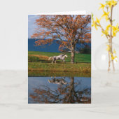 Bob Langrish | Zwei Gemeine Warmblüten am See Karte (Gelbe Blume)