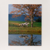 Bob Langrish | Zwei Gemeine Warmblüten am See Puzzle (Vertikal)