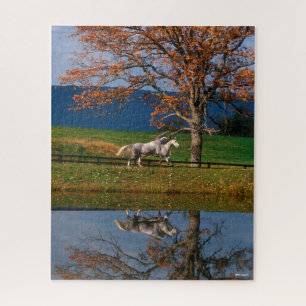 Bob Langrish   Zwei Gemeine Warmblüten am See Puzzle