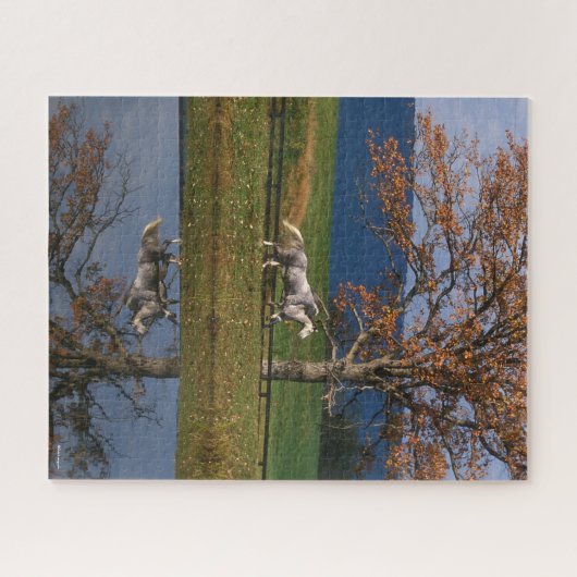 Bob Langrish | Zwei Gemeine Warmblüten am See Puzzle (Horizontal)