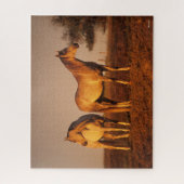 Bob Langrish | Zwei Grauarabäer Stehend bei Sunset Puzzle (Vertikal)