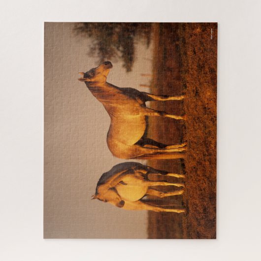 Bob Langrish | Zwei Grauarabäer Stehend bei Sunset Puzzle (Vertikal)