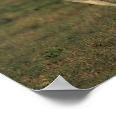 Bob Langrish | Zwei graue Araber, die zusammenlauf Poster (Ecke)