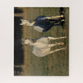 Bob Langrish | Zwei graue Araber, die zusammenlauf Puzzle (Vertikal)