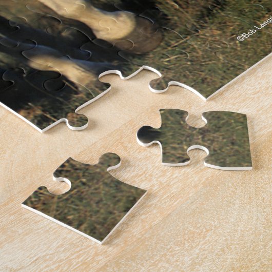 Bob Langrish | Zwei graue Araber, die zusammenlauf Puzzle (Seite)