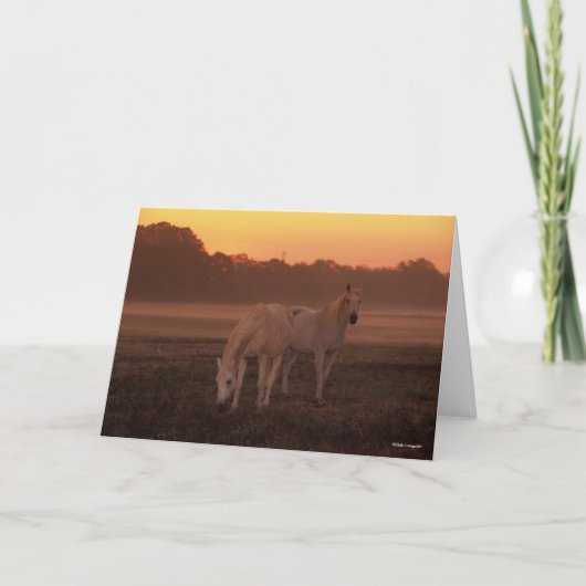 Bob Langrish | Zwei graue Arabische Pferde Stehend Karte (Vorderseite)