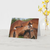 Bob Langrish | Zwei irische Pferdefohlen spielen Karte (Gelbe Blume)